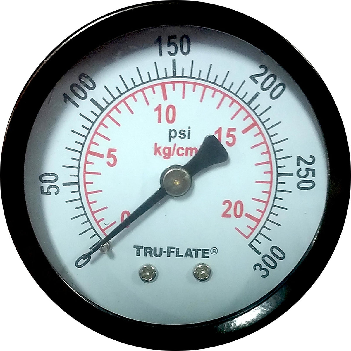 Tru-Flate - TRFL24804 - Polycarbonate Air Line Gauge 1/4 in. NPT 300 psi 1 pc
