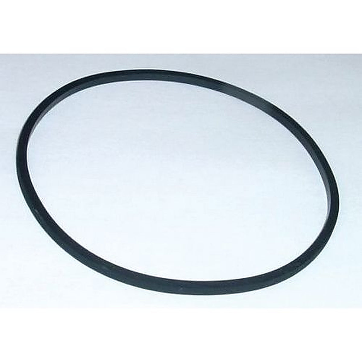 Motor Guard - 106-10 - Large Seal, Buna-N, Use with: m-26/M-40/M-60/M-C100 Sub-Micronic Filter