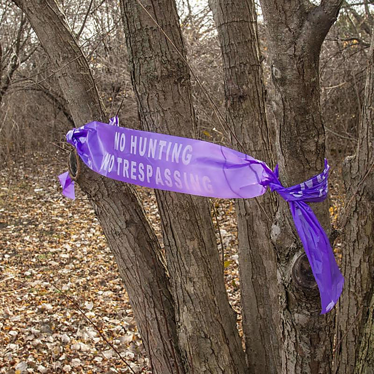 C.H. Hanson - 15150 - 100 ft. L x 6 in. W Plastic No Hunting No Trespassing Barricade Tape Purple