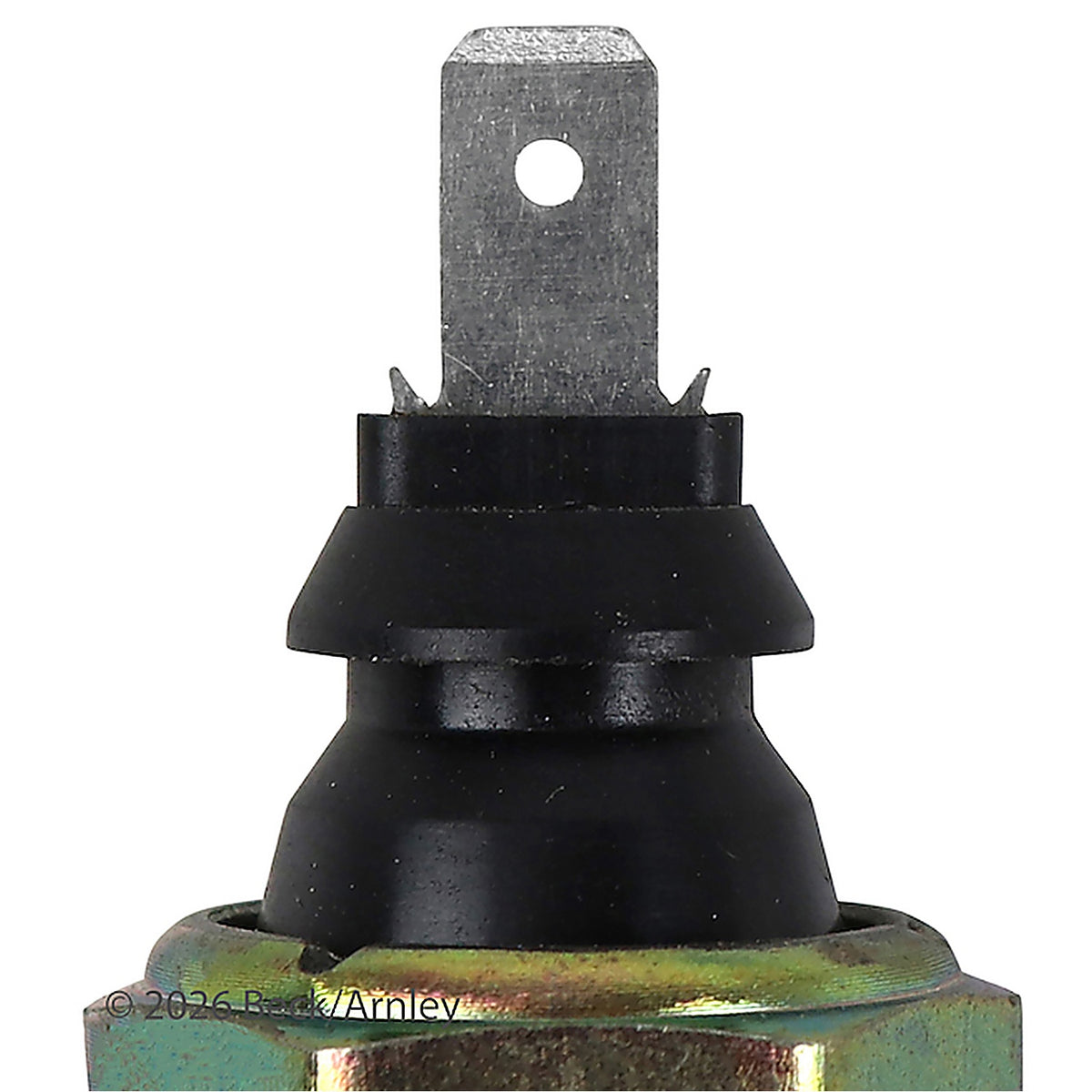 Beck Arnley - 201-1723 - Oil Press Sw w/Light
