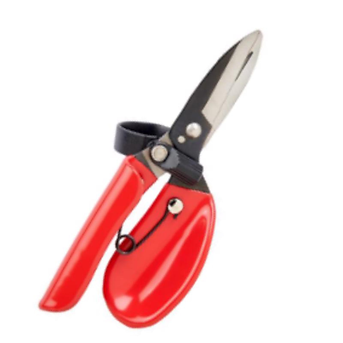 Corona - FS14630 - Carbon Steel Straight Edge Garden Snips