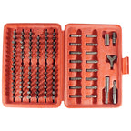 Best Way Tools - 24380 - Assorted Screwdriver Bit Set Carbon Steel 100/pc.