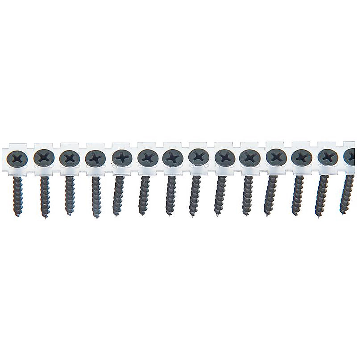 Senco - 06A162P - DuraSpin No. 6 x 1-5/8 in. L Phillips Drywall Screws 1000 lb. - 1000/Pack