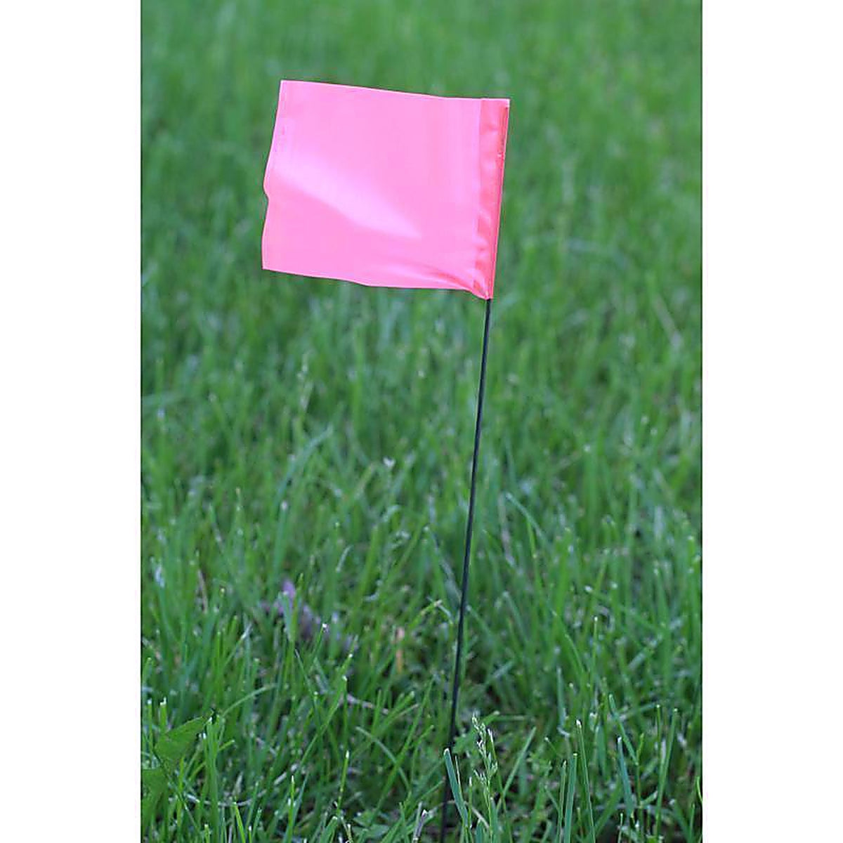 C.H. Hanson - 15066 - 15 in. Pink Marking Flags Polyvinyl - 10/Pack