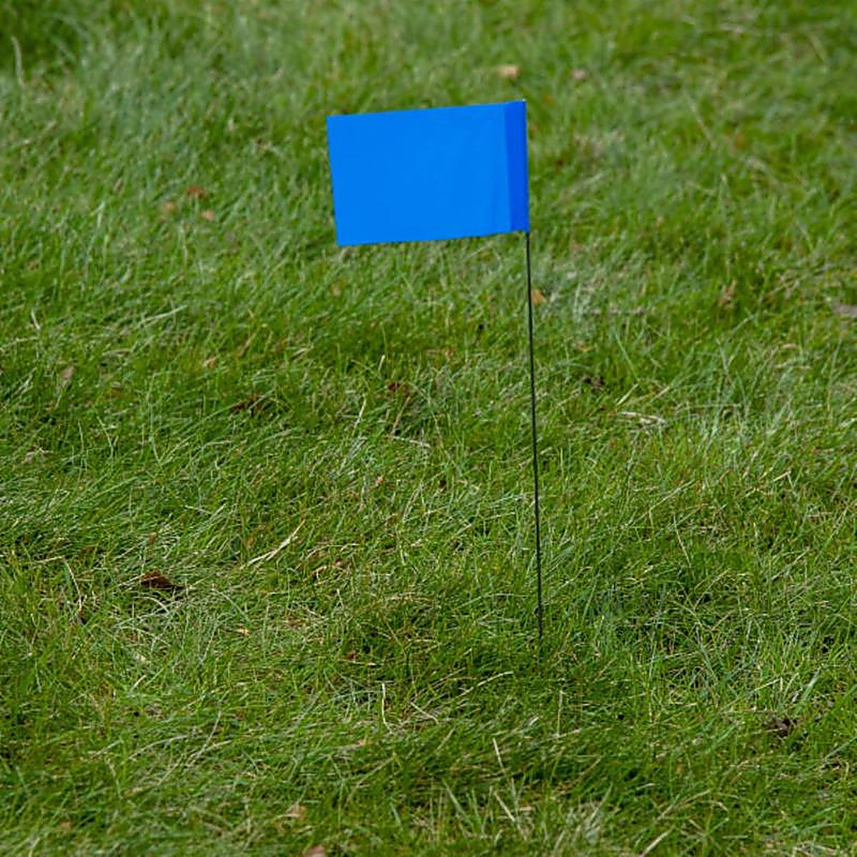 C.H. Hanson - 15068 - 15 in. Blue Marking Flags Polyvinyl - 10/Pack