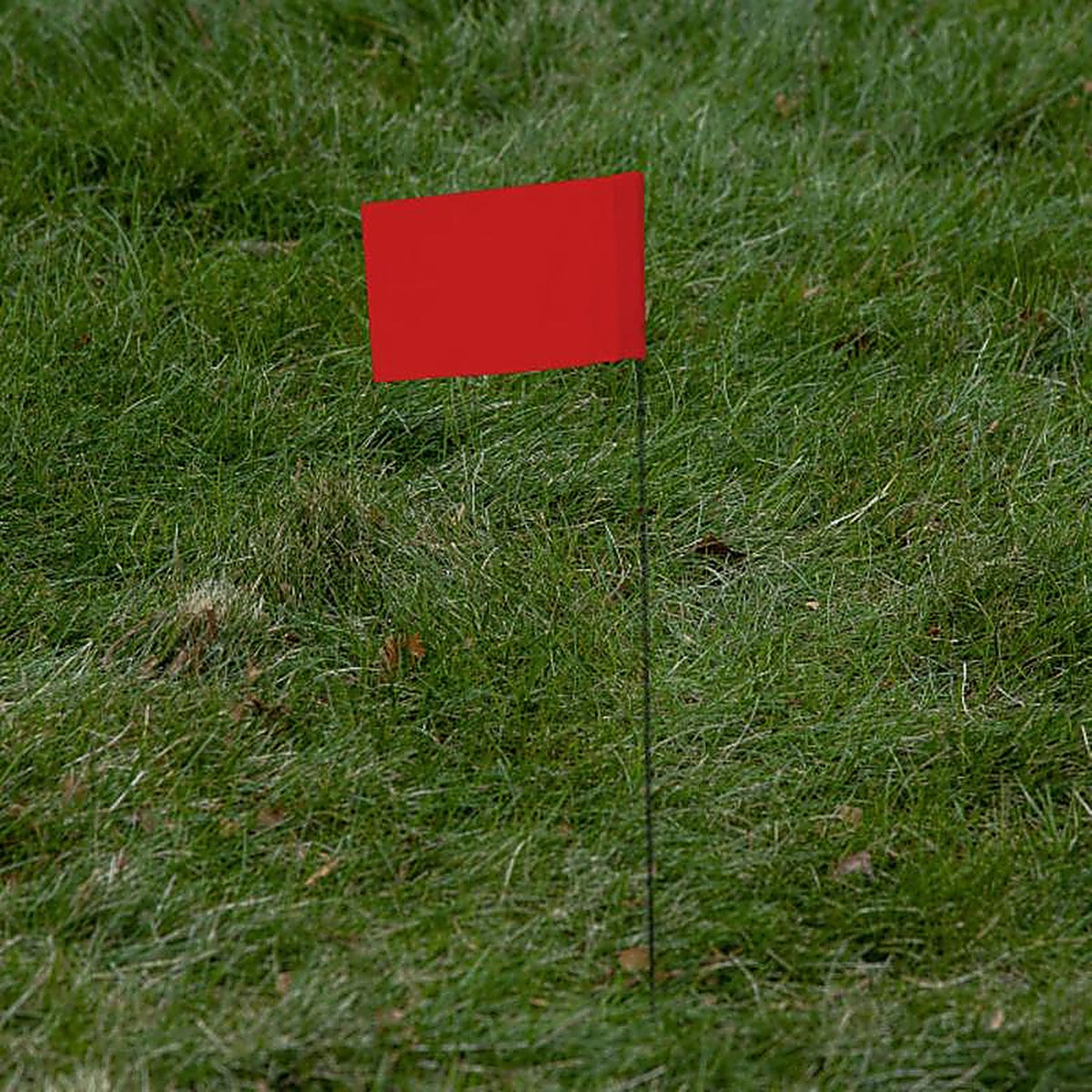 C.H. Hanson - 15065 - 15 in. Fluorescent Red Marking Flags Polyvinyl - 10/Pack