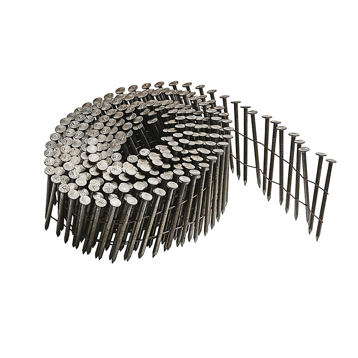 Bostitch - C3R90BDSS-316 - 1-1/4 in. L X 11 Ga. Angled Coil Stainless Steel Nails 15 deg 3600 pk