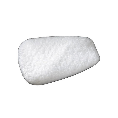 3M - 5P71P10-C - P95 Paint Spray and Pesticide Application Particulate Filter 5000/6000-Series White 10 pk