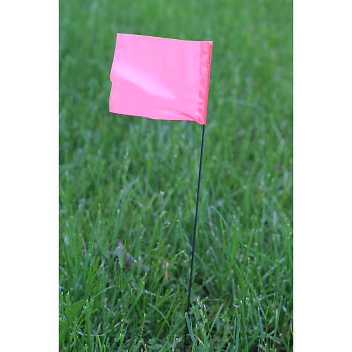 C.H. Hanson - 15081 - 21 in. Pink Marking Flags Polyvinyl - 100/Pack
