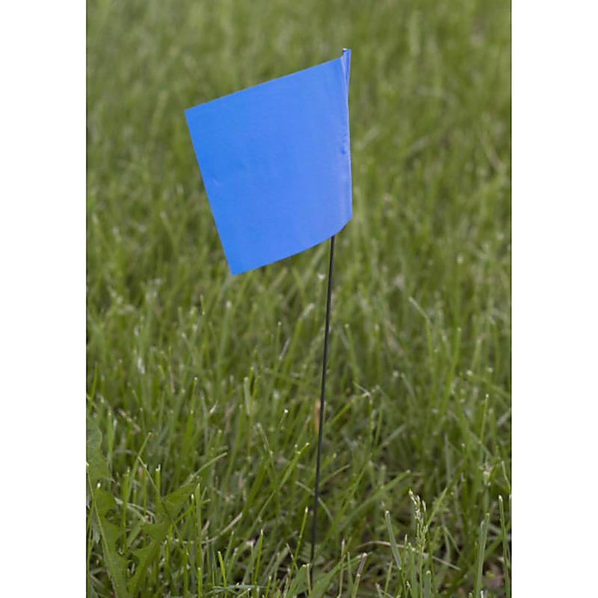 C.H. Hanson - 15085 - 21 in. Blue Marking Flags Polyvinyl - 100/Pack