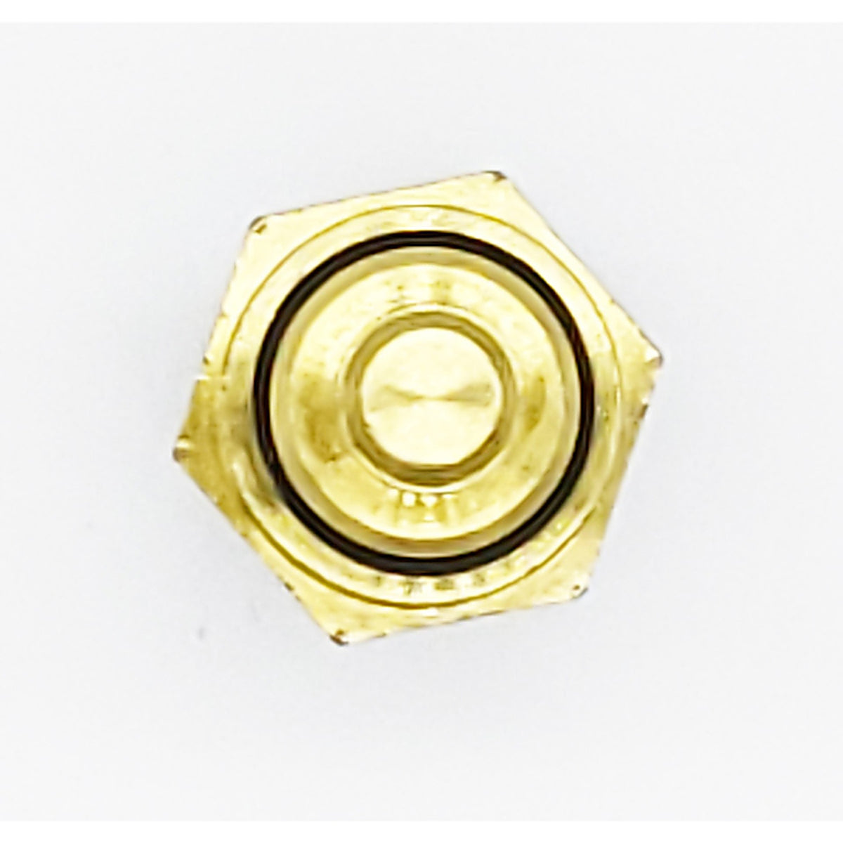 Holstein - 2CTS0039 - Parts Engine Coolant Temperature Sensor