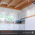 Sylvania - 49828 - Natural A21 E26 (Medium) LED Bulb Daylight 100 W 2 pk