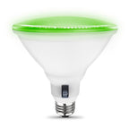 Feit Electric - PAR38/RGW/CA. - PAR 38 E26 (Medium) LED Bulb Color Changing 6 W 1 pk