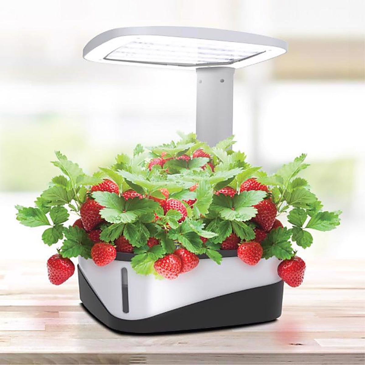 Feit Electric - GLP20TABLE37LED - Grow Light Stand