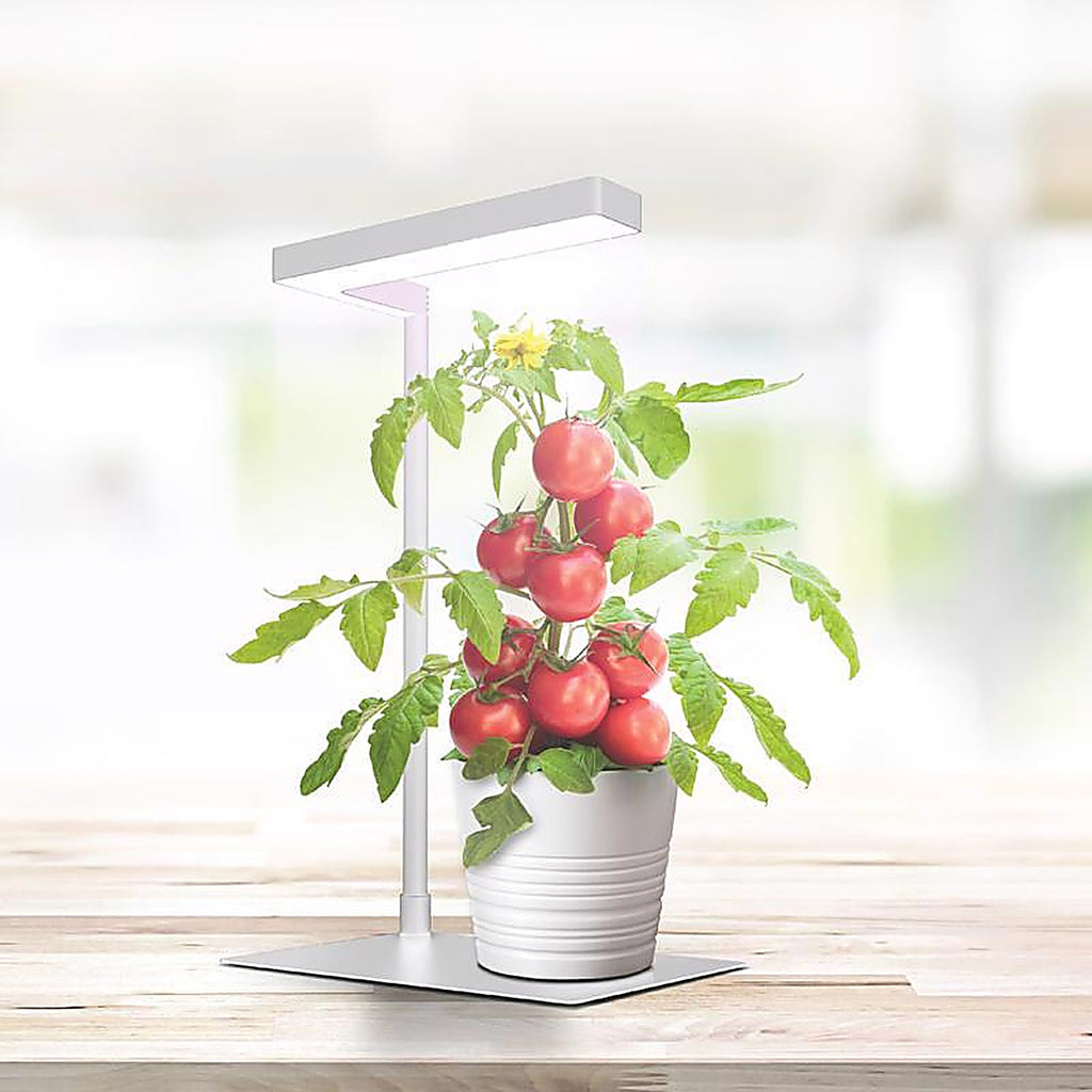 Feit Electric - GLP17TABLE14LED - Grow Light Stand