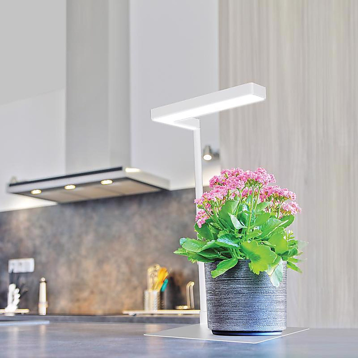 Feit Electric - GLP17TABLE14LED - Grow Light Stand