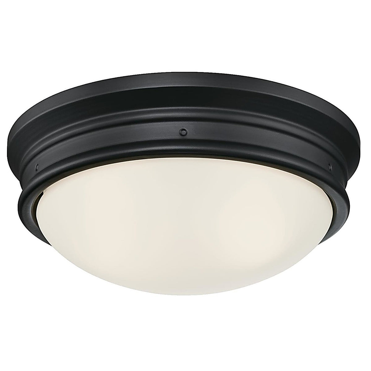 Westinghouse - 63241 - Meadowbrook Switch Incandescent Matte Black Wall Pack Light Fixture Hardwired