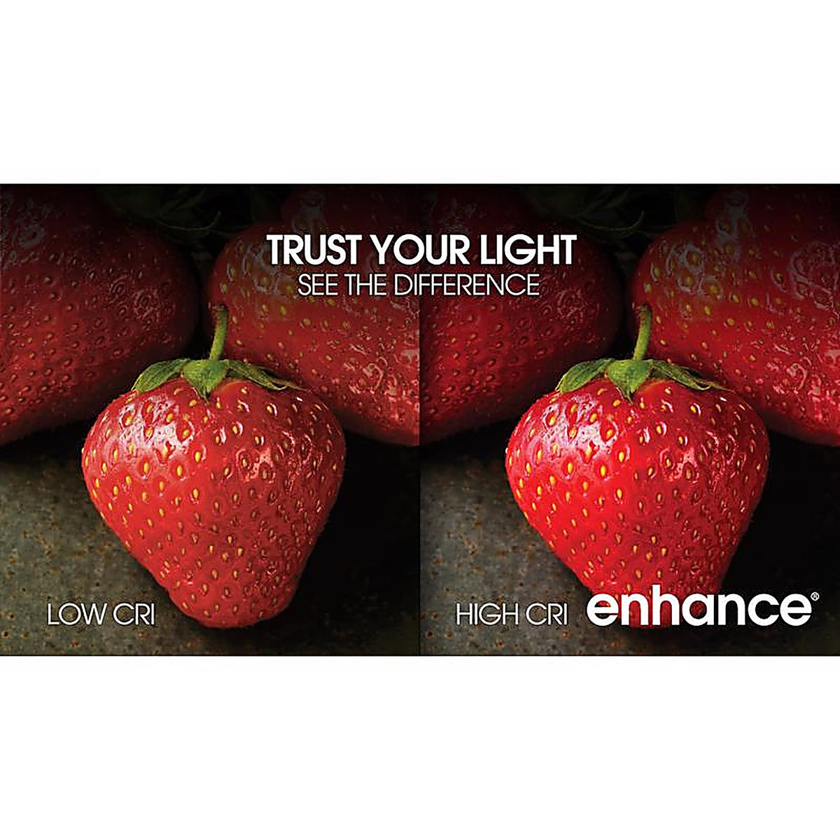 Feit Electric - G2540W927CAFL3R - Enhance G25 E26 (Medium) Filament LED Bulb Soft White 40 W 3 pk