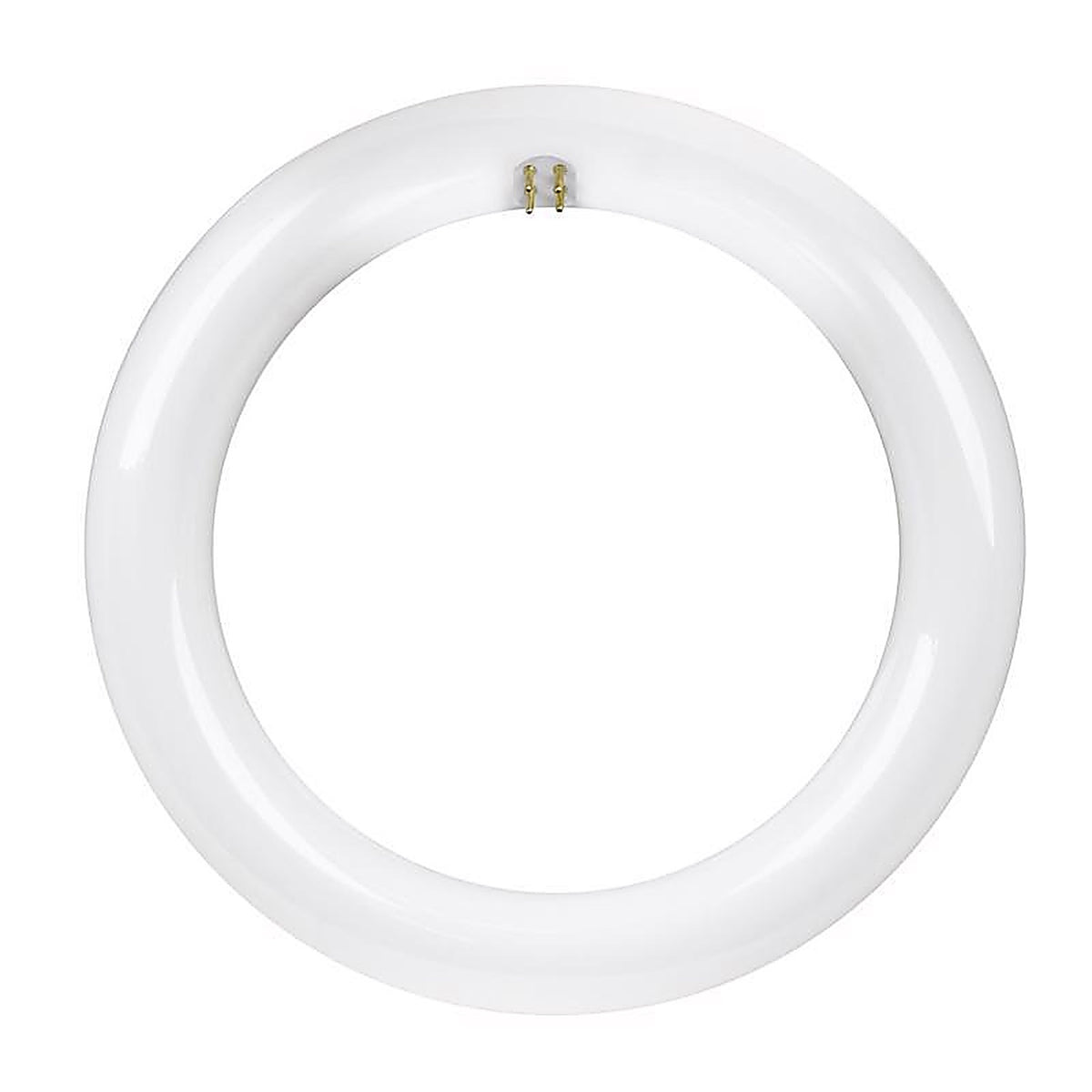 Feit Electric - FC8/840/LED - Plug and Play Specialty Cool White G10Q Circular LED Bulb 22 Watt Equivalence 1 pk