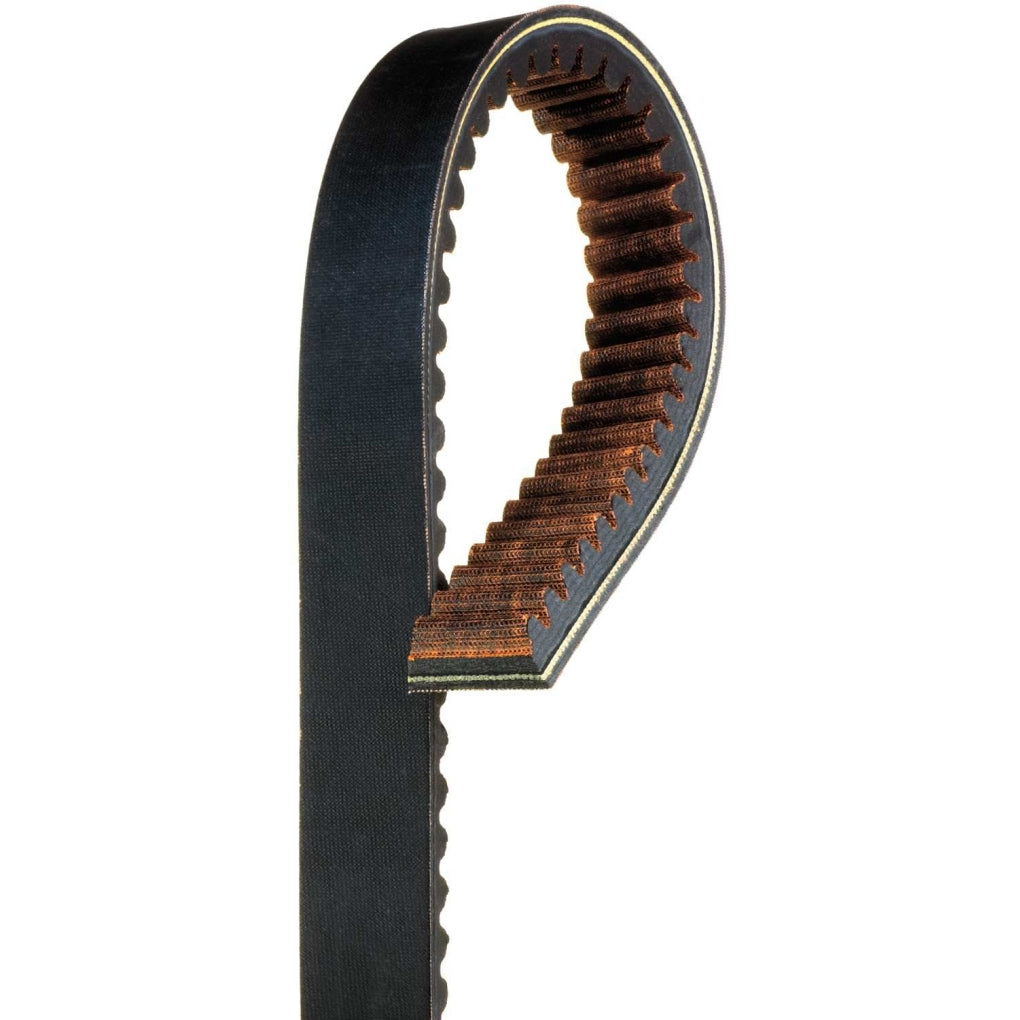 Gates - 39G4289 - G-Force Recreational Belt