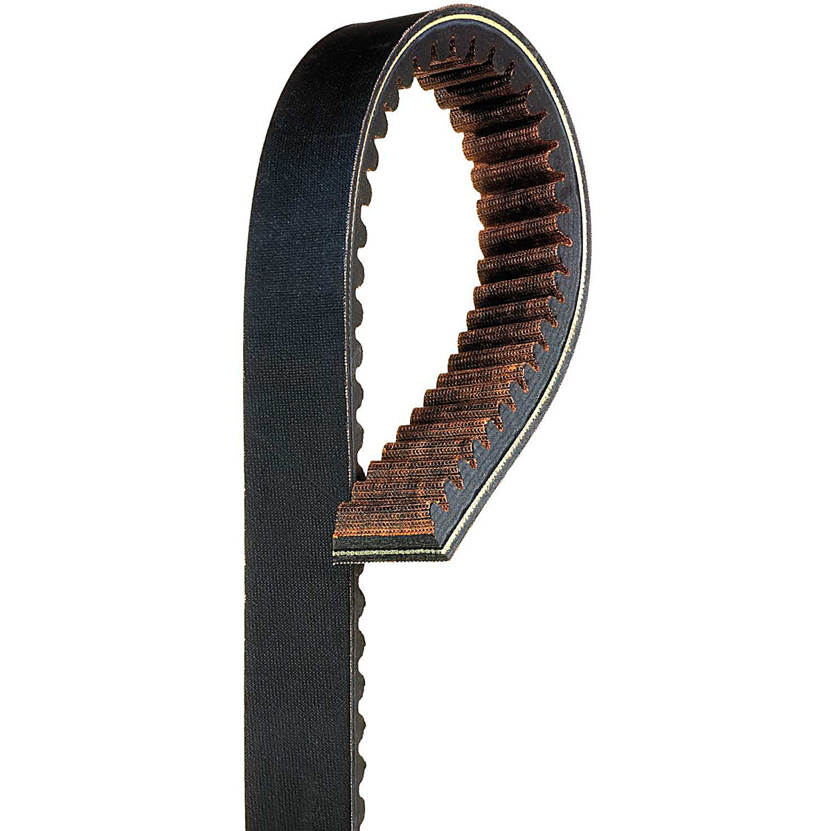 Gates - 39G4289 - G-Force Recreational Belt