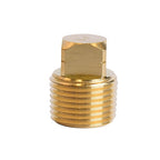 ACE - 6JC120810701013 - 3/8 in. MPT Brass Square Head Cored Plug