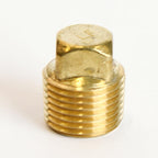ACE - 6JC120810701014 - 1/2 in. MPT Brass Square Head Cored Plug
