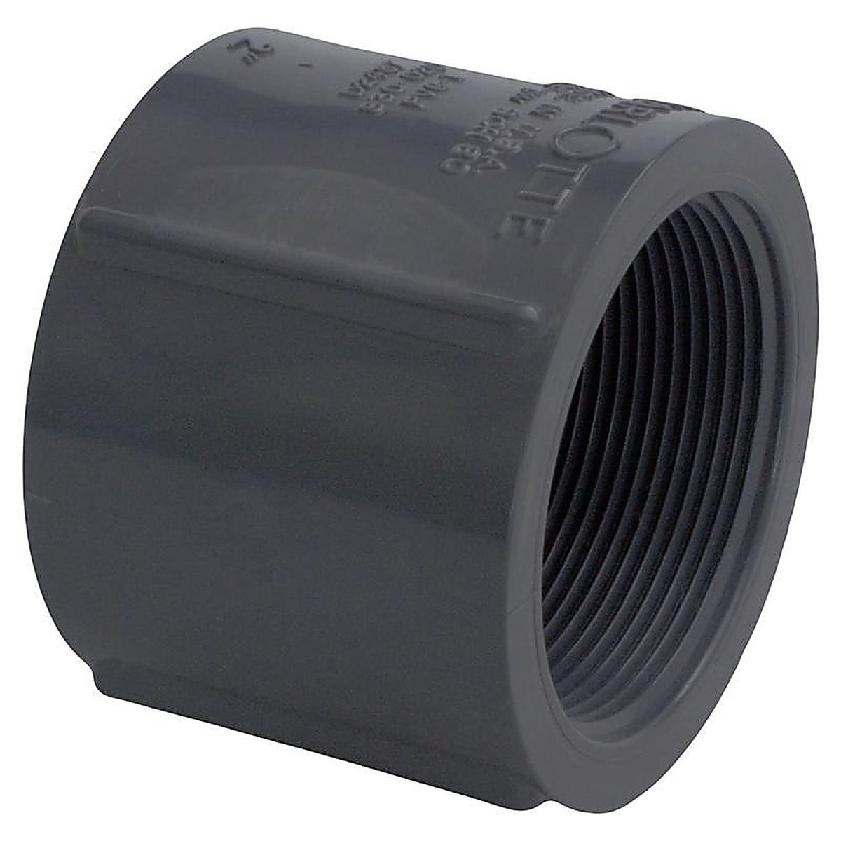 Charlotte Pipe - PVC081022000 - Schedule 80 2 in. FPT x 2 in. Dia. FPT PVC Coupling