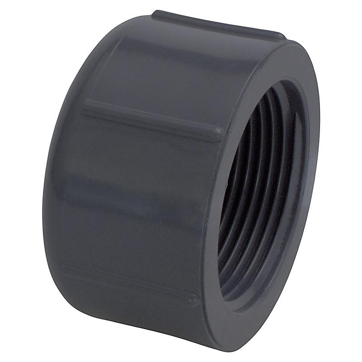 Charlotte Pipe - PVC081171200 - Schedule 80 3/4 in. MPT x 3/4 in. Dia. FPT PVC Threaded Cap