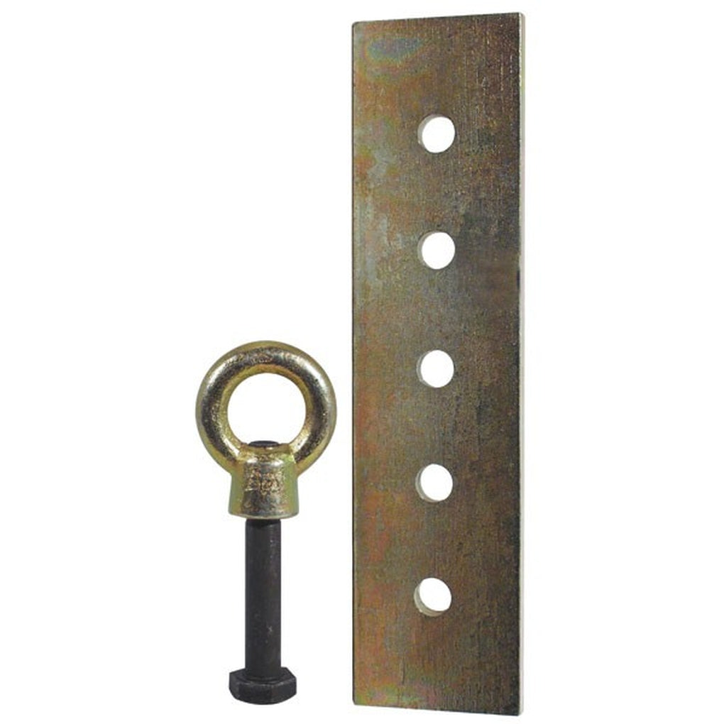 AES|4453|Eye Bolt and Pull Plate, 1 ton