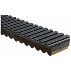 Gates - 44C4553 - Recreational G-Force Belt