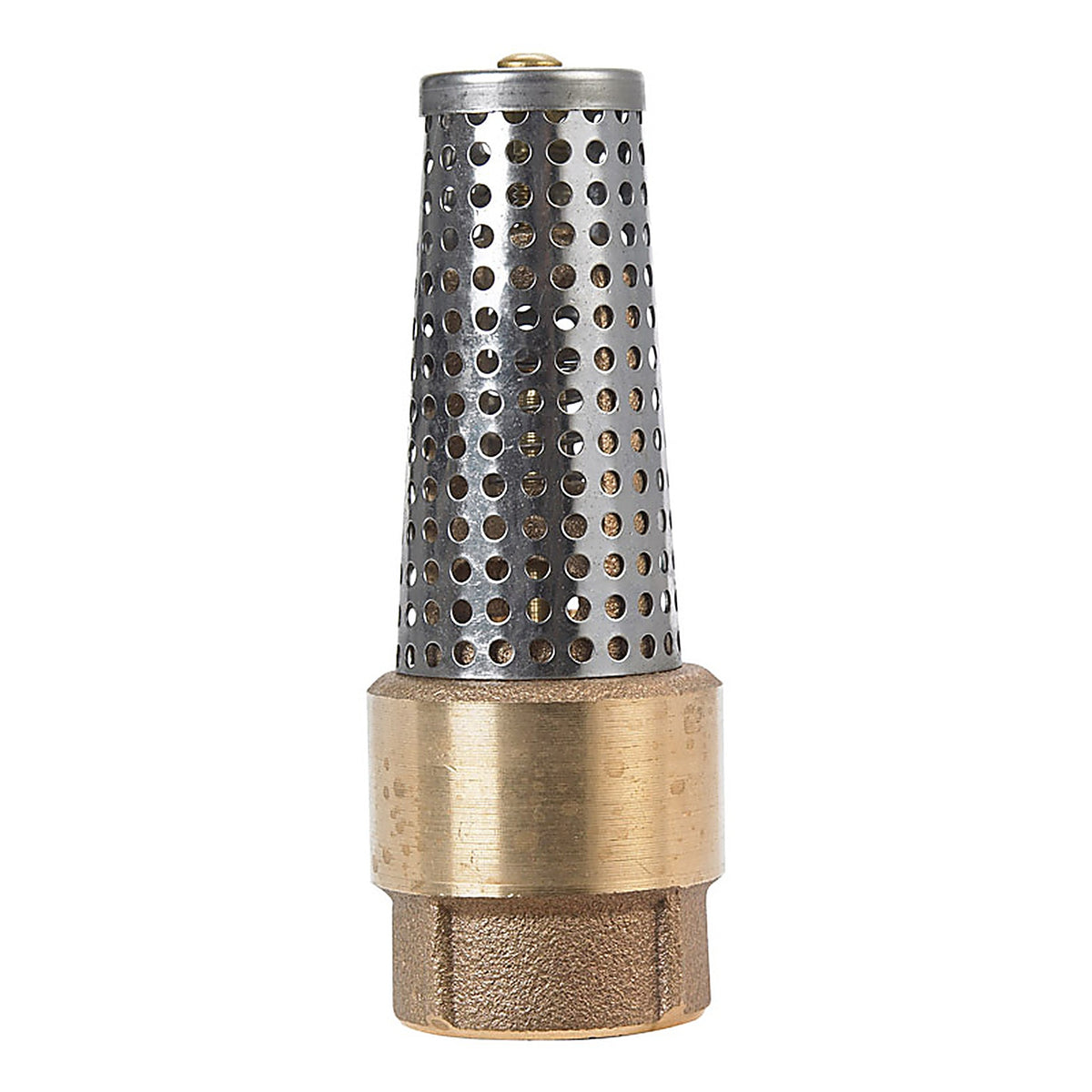 Campbell - FV-4TLF - 1 in. Dia. x 1 in. Dia. Brass Spring Loaded Foot Valve