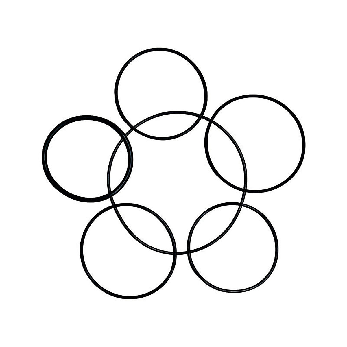 Danco - 9D00010714 - 5-5/8 in. D X 3-3/8 in. D Rubber O-Ring Assortment 6 pk