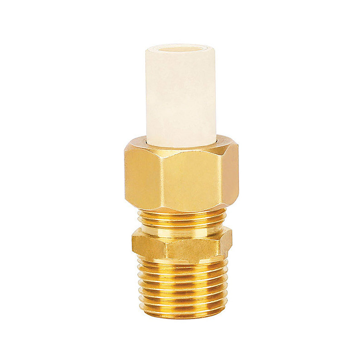 Homewerks - 544-34-34-B - Schedule 40 3/4 in. Compression x 3/4 in. Dia. MPT CPVC/Brass Adapter Coupling