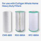 Culligan - WH-HD200-C - Whole House Filter System