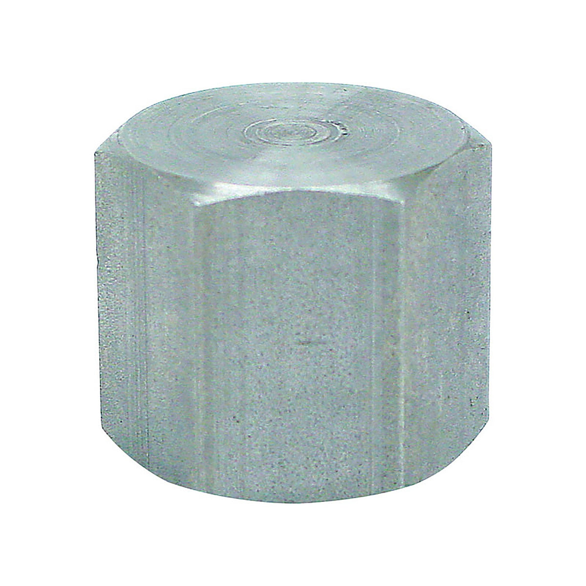 Anvil - 8700132551 - 1/4 in. FPT Malleable Iron Cap