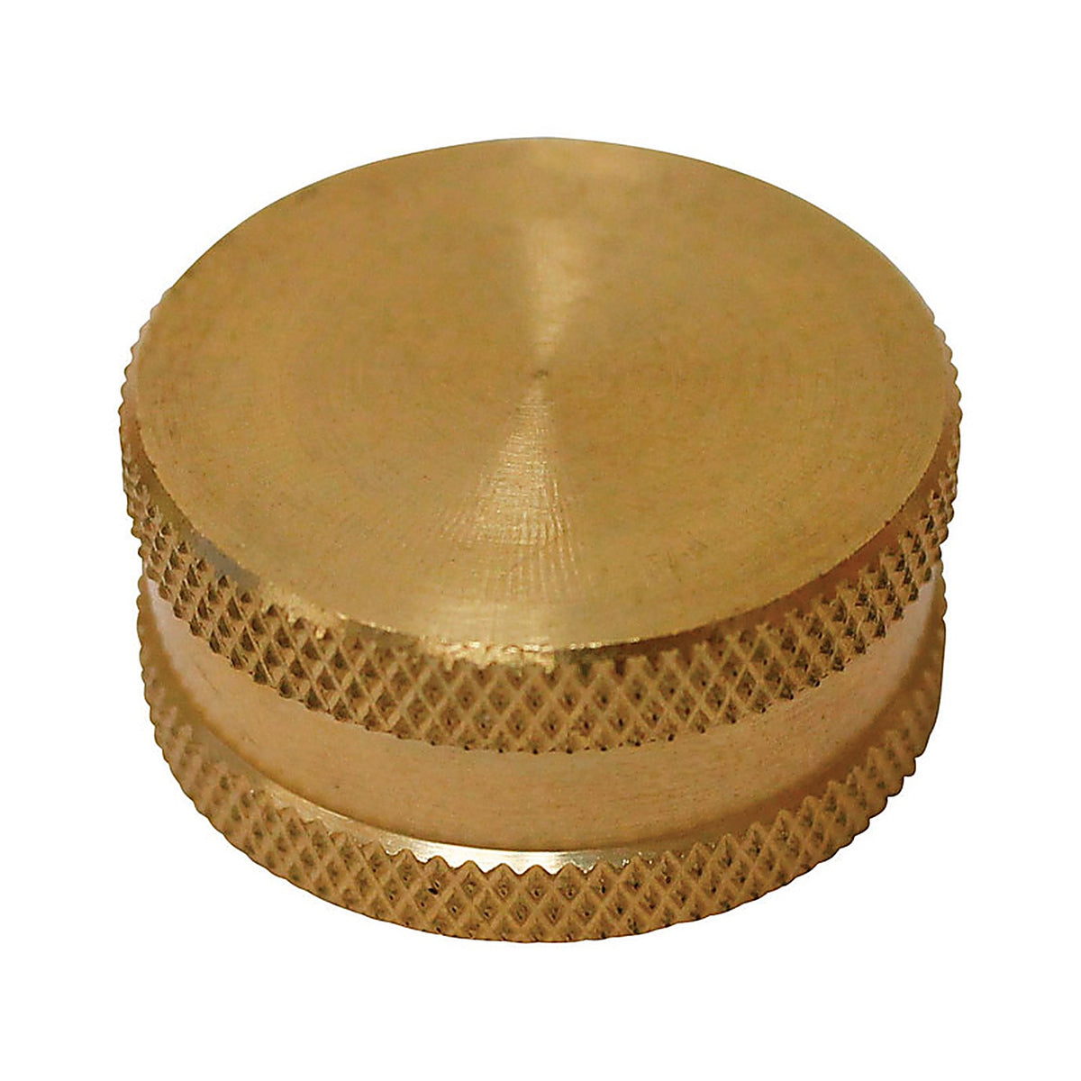 Plumb Pak - PP850-68 - Brass 3/4 in. Dia. x 3/4 in. Dia. Hose Cap with Washer - 1/Pack