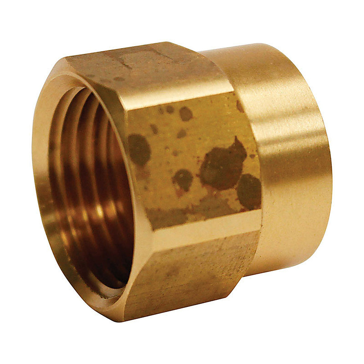Plumb Pak - PP850-64 - Brass 3/4 in. D X 3/4 in. D Hose Adapter 1 pk
