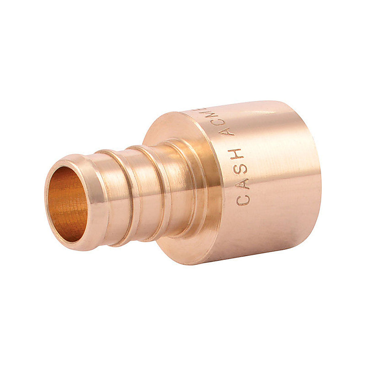 SharkBite - UC600LFCP25 - 1/2 in. FPT x 1/2 in. Dia. FPT Female Adapter