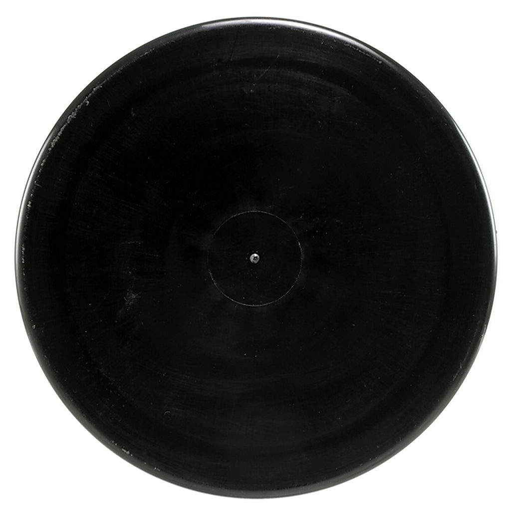 Wells - 4B1004 - Vapor Canister