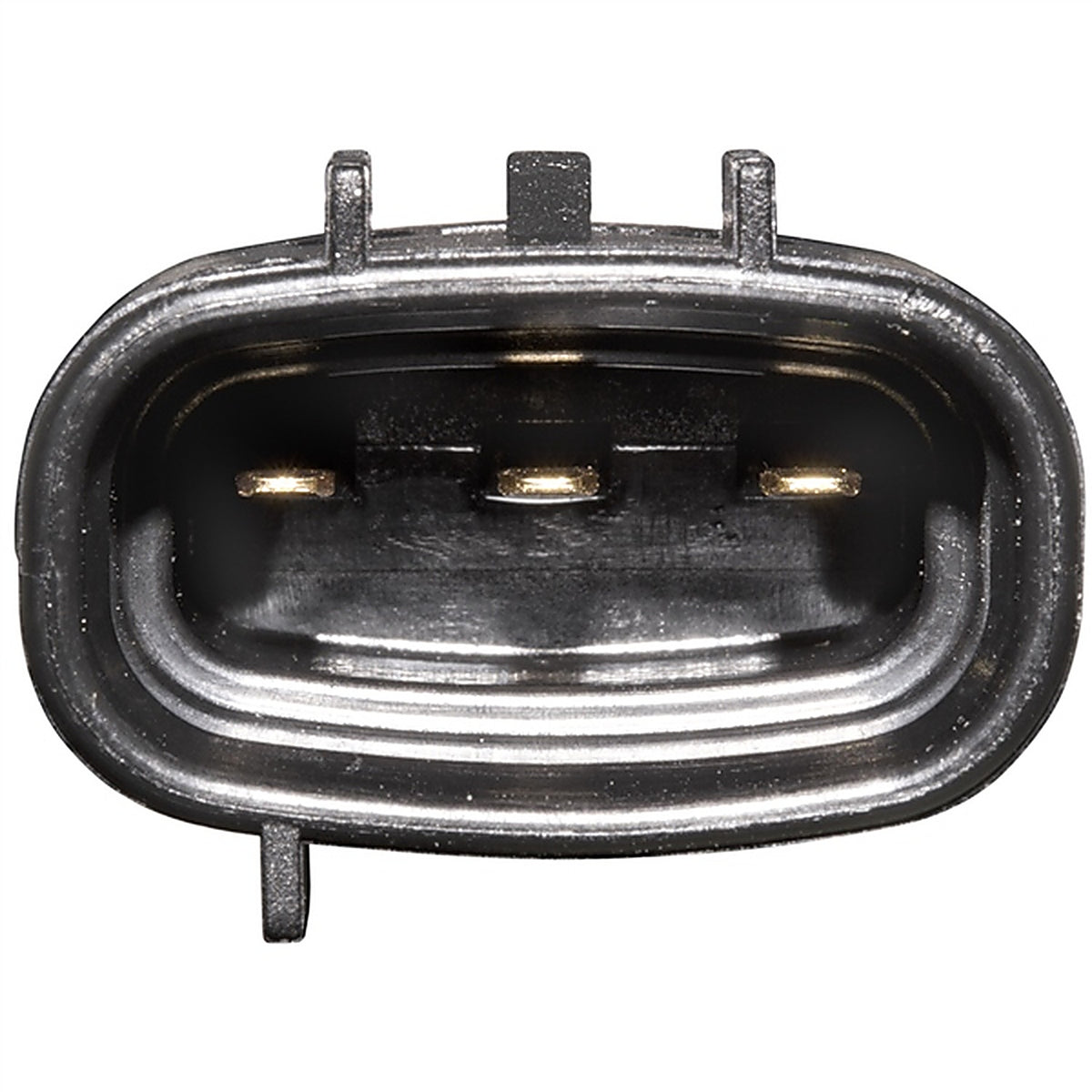 Wells - 4B1638 - Vapor Canister