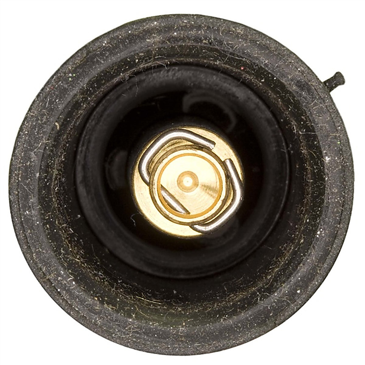 Wells - 4C2041 - Direct Ignition Coil Boot
