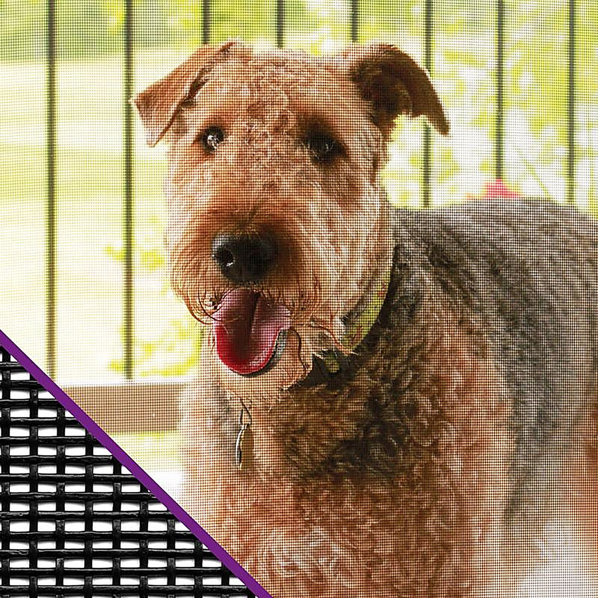 Saint-Gobain - FCS10389-M - Pet Resistant 36 in. W X 7 ft. L Charcoal Polyester Pet Screen Cloth
