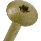 Hillman - 48898 - Power Pro 5/16 in. x 6 in. L Star Steel Lag Screw - 1/Pack