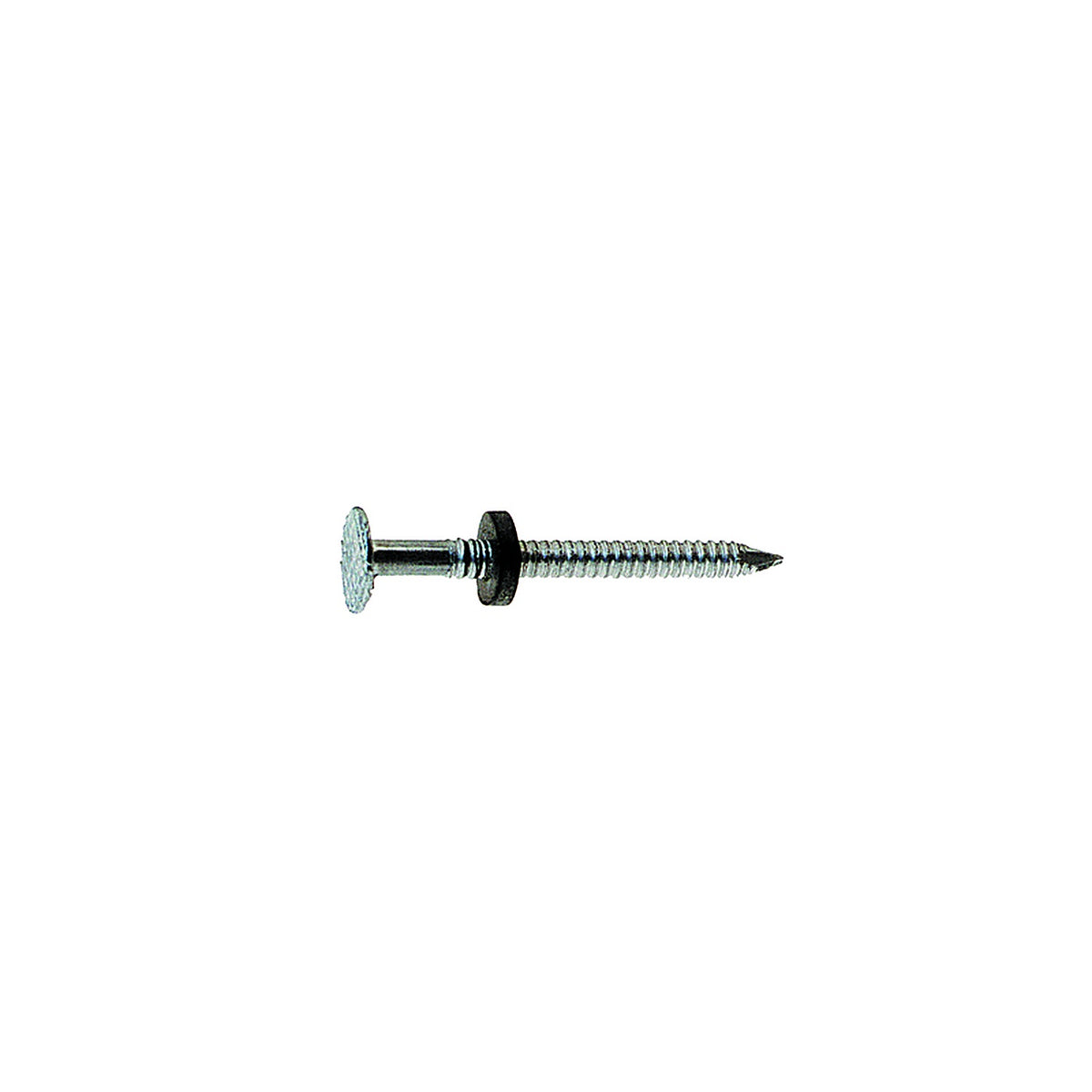 Grip-Rite - 134EGNEO1 - 1-3/4 in. Roofing Electro-Galvanized Steel Nail Flat 1 lb.