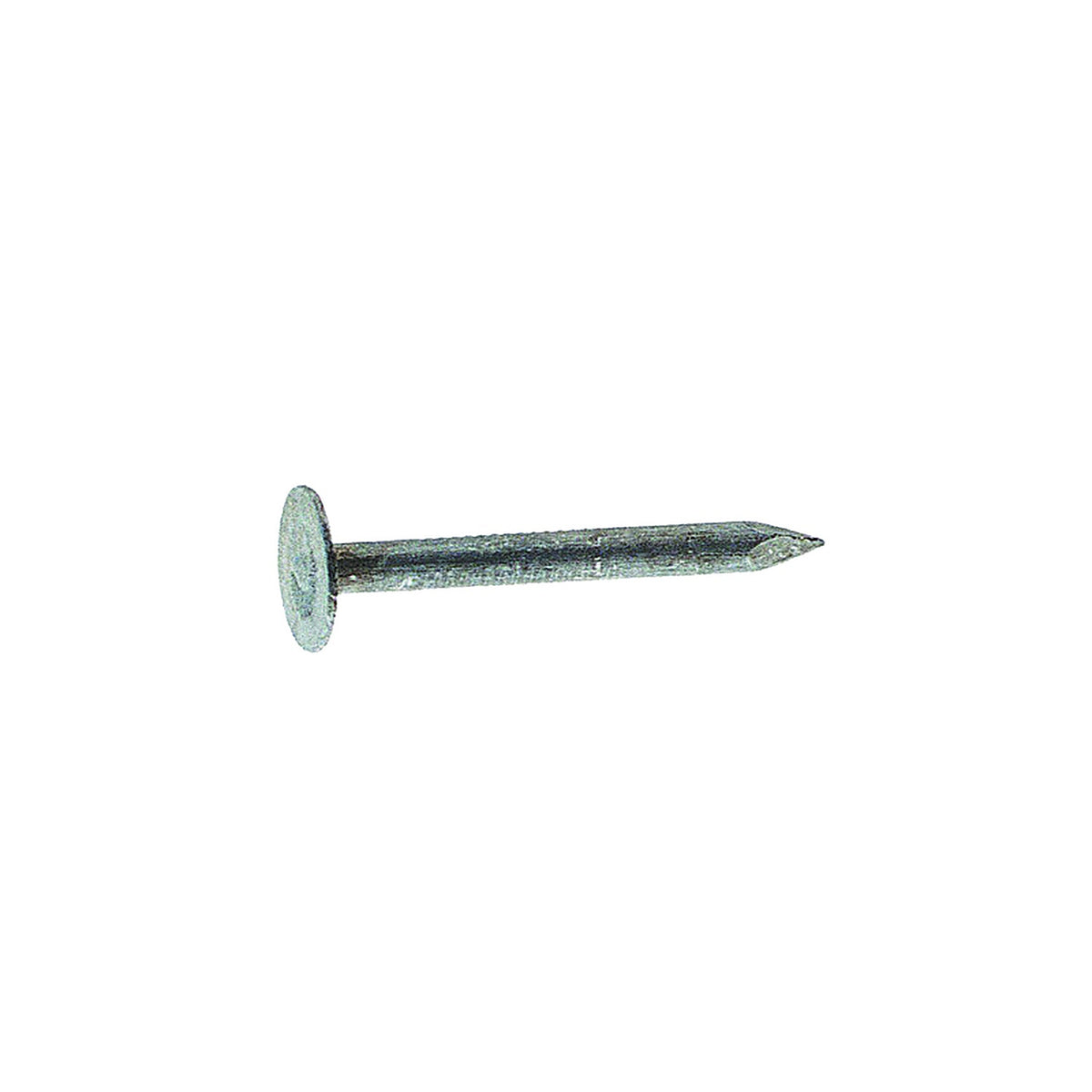 Grip-Rite - 78EGRFG1 - 7/8 in. Roofing Electro-Galvanized Steel Nail Flat 1 lb.