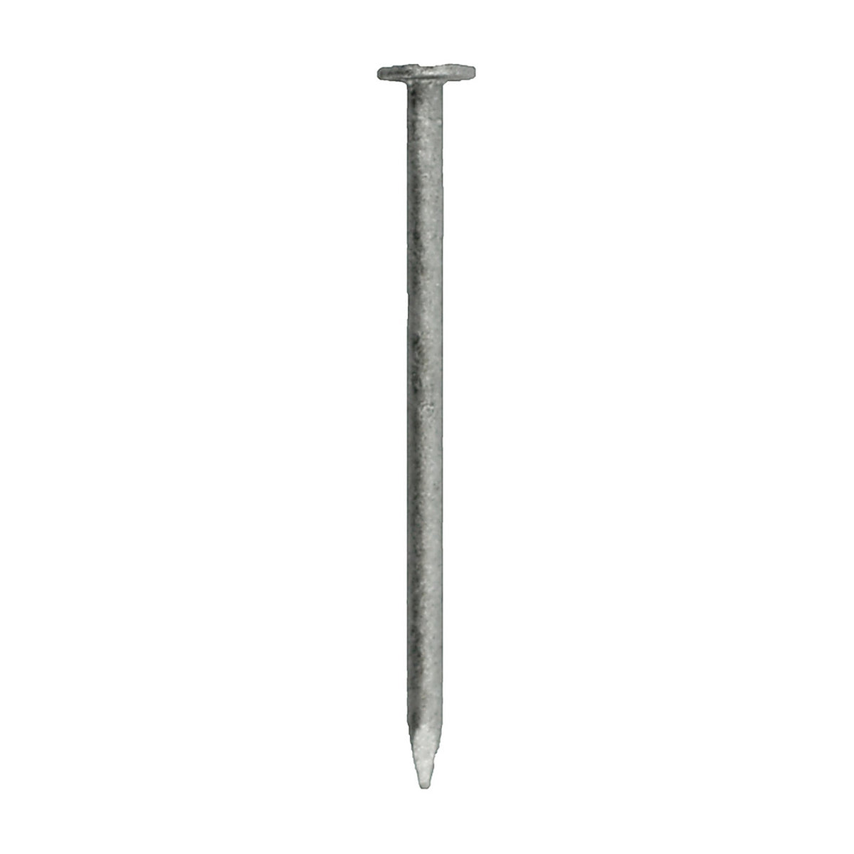Grip-Rite - 4HGBX1 - 4D 1-1/2 in. Box Hot-Dipped Galvanized Steel Nail Flat 1 lb.