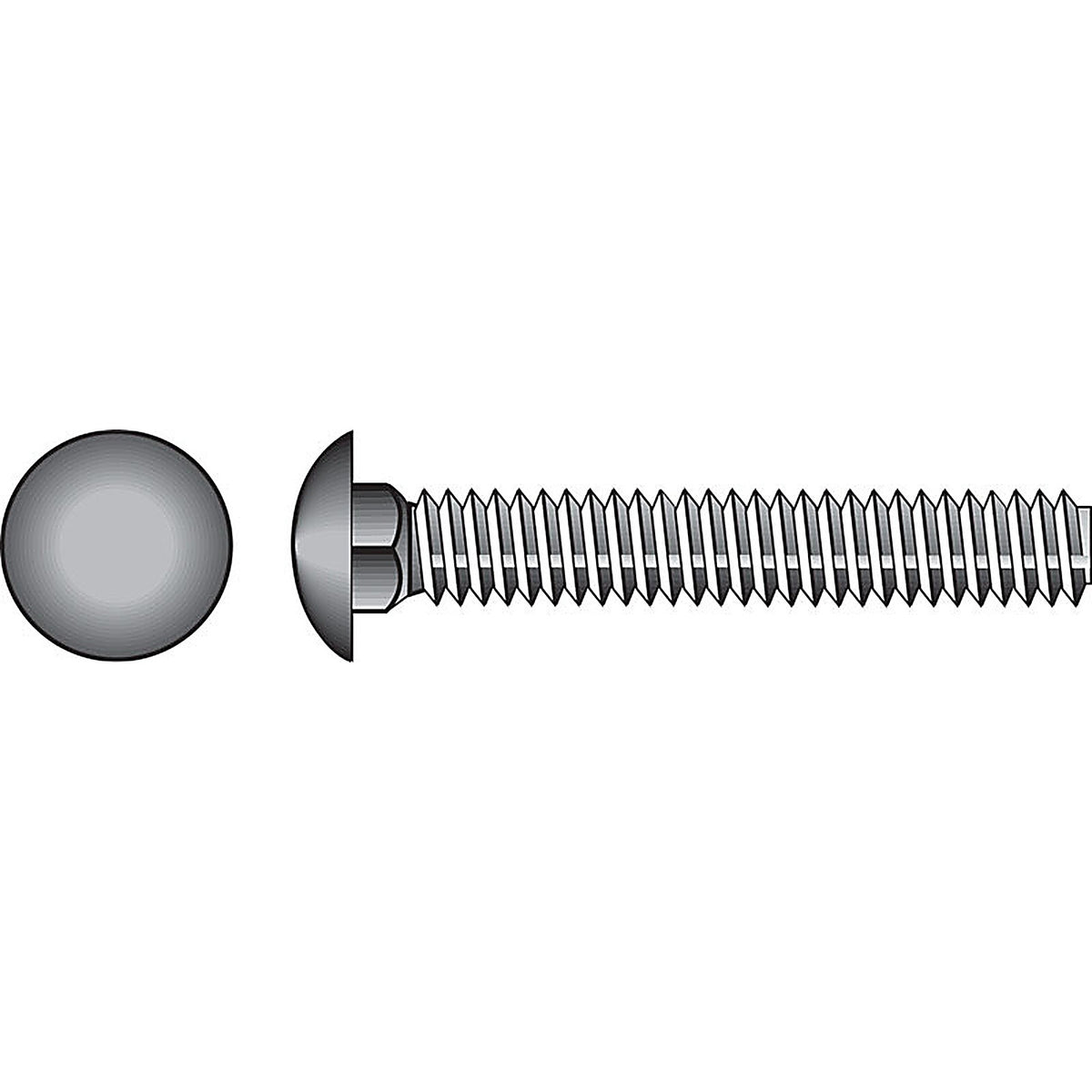 Hillman - 0832534 - 1/4 in. X 4 in. L Stainless Steel Carriage Bolt 25 pk