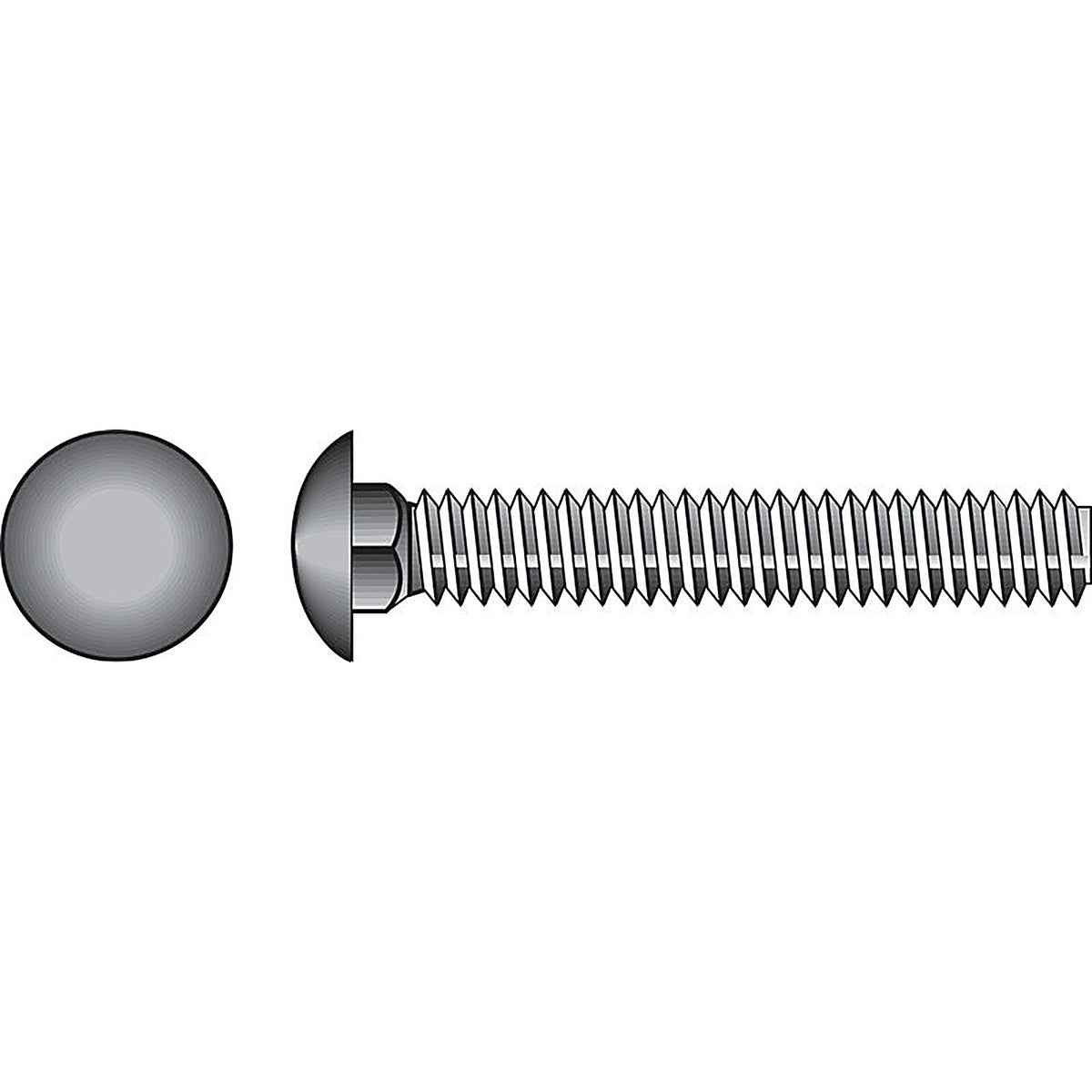 Hillman - 0832661 - 1/2 in. X 2 in. L Stainless Steel Carriage Bolt 25 pk