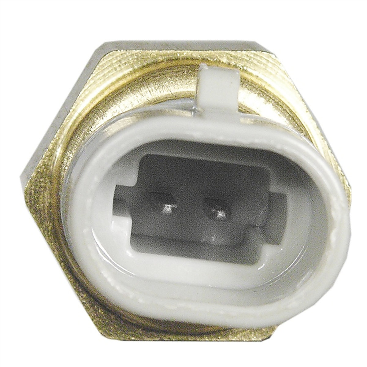Wells - 5S1007 - Air Charge Temperature Sensor